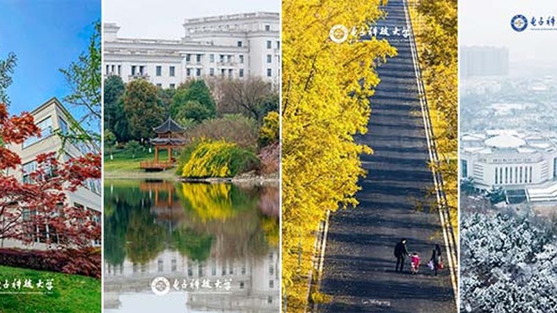 芯片批发报价平台：揭秘价格查询背后的逻辑